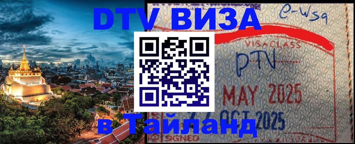 Оформление DTV визы под ключ: стоимость и тарифы, только загранпаспорт - 19.11.2025 